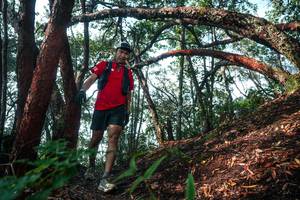 BIB: 
                            <button type="button" onclick="openModal(26344340)" class="btn btn-primary btn-sm float-right btn-popup" data-toggle="modal" data-target=".modal-high-quality">
                        <i class="fas fa-shopping-cart"></i> Add to Cart
                    </button>
                                            <button type="button" onclick="isThisMe(26344340, true)" class="btn btn-success btn-sm float-right btn-popup btn-isme hidden" data-toggle="tooltip" data-placement="bottom" title="นี่คือรูปของคุณใช่ไหม คลิกที่นี่เพื่อเอาเข้าอัลบั้ม">
                        <i class="fas fa-plus"></i> Add to album
                    </button>
                    <button type="button" onclick="isThisMe(26344340, false)" class="btn btn-warning btn-sm float-right btn-popup btn-isnotme hidden">
                        <i class="fas fa-ban"></i> Remove from album
                    </button>